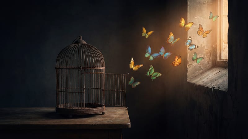 Couple breaking routine with intimate game night