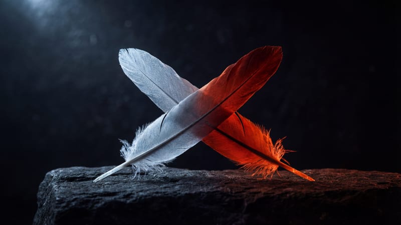 Hot & Cold game for couples